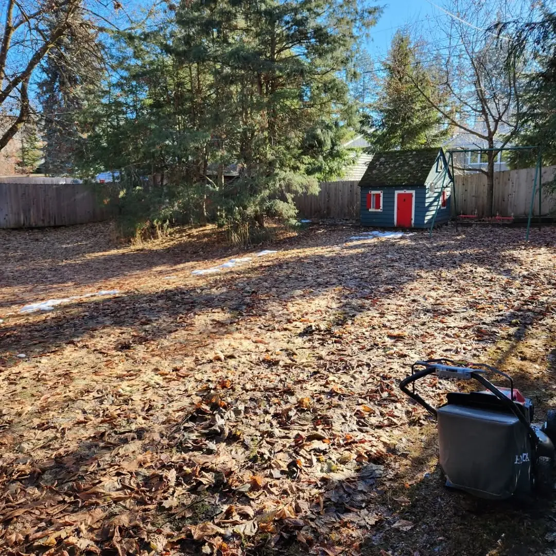 Seasonal lawn clean-up